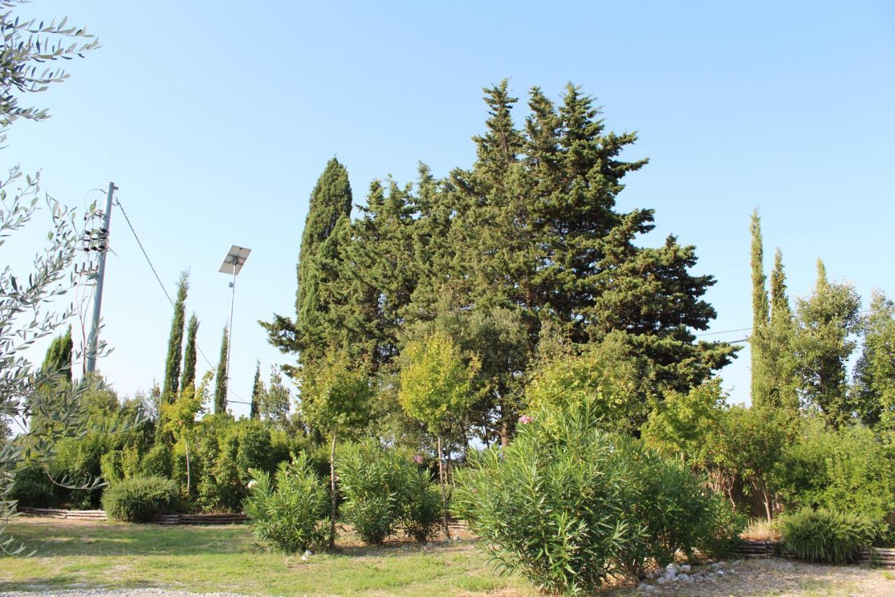 Toscana Biovillage Cecina  Exterior foto