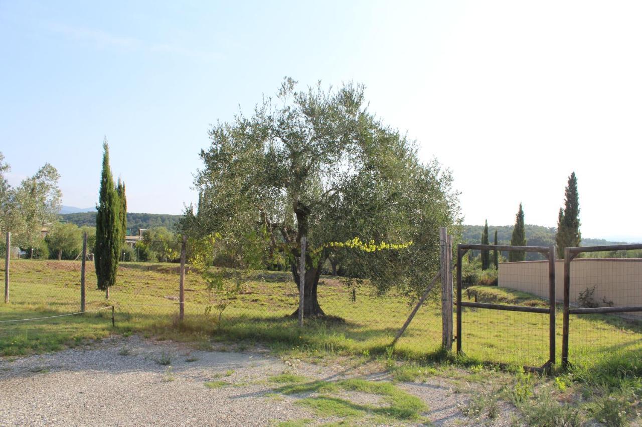 Toscana Biovillage Cecina  Exterior foto